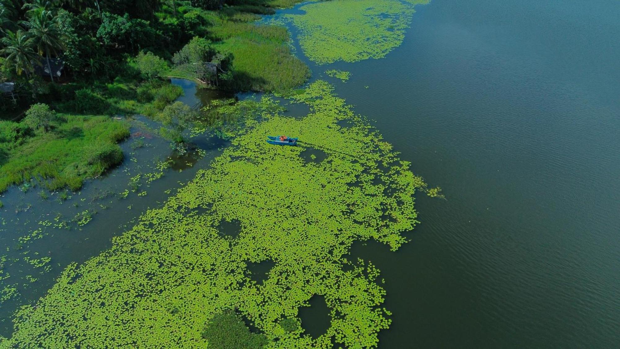 Nature'S Lake View Sigiriya Дамбула Екстериор снимка