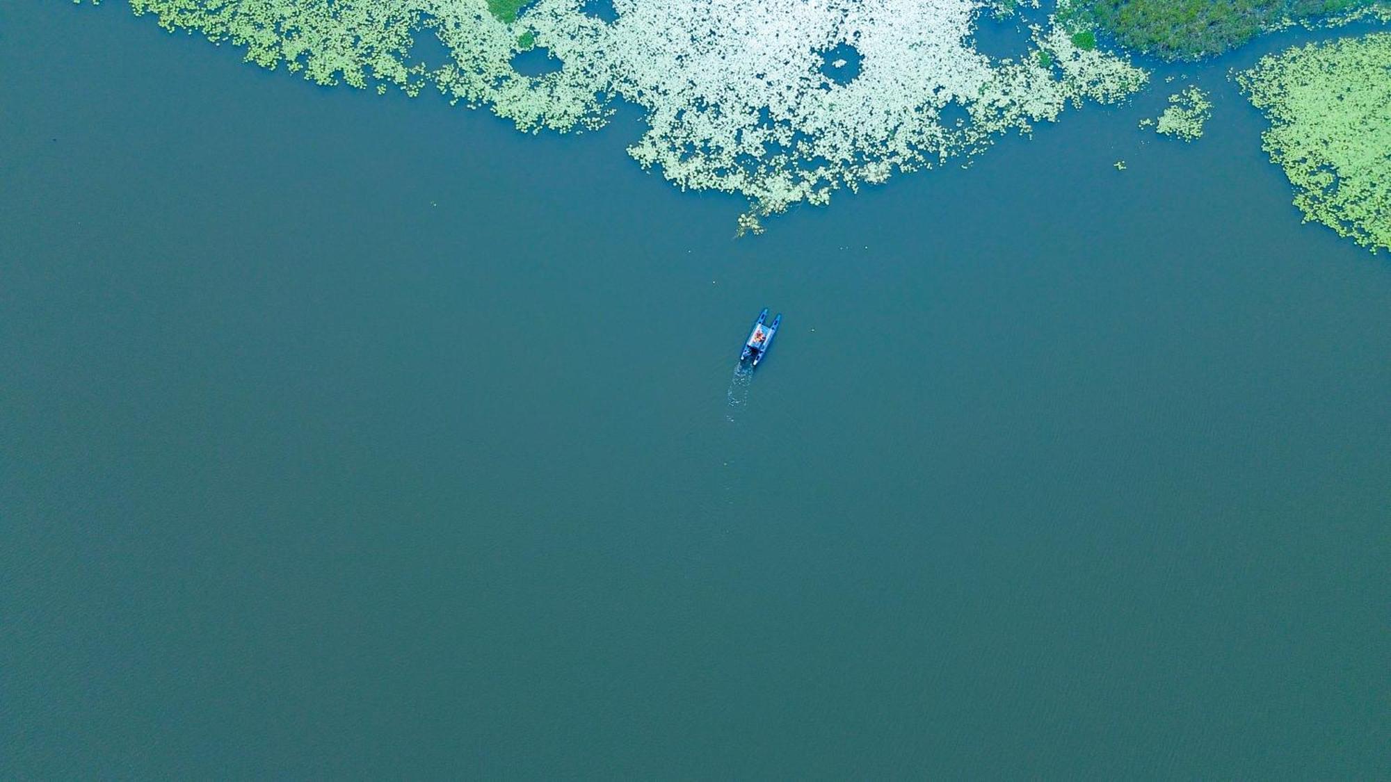 Nature'S Lake View Sigiriya Дамбула Екстериор снимка