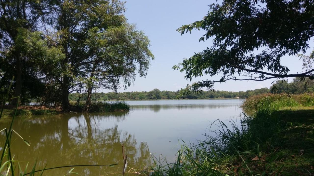 Nature'S Lake View Sigiriya Дамбула Екстериор снимка