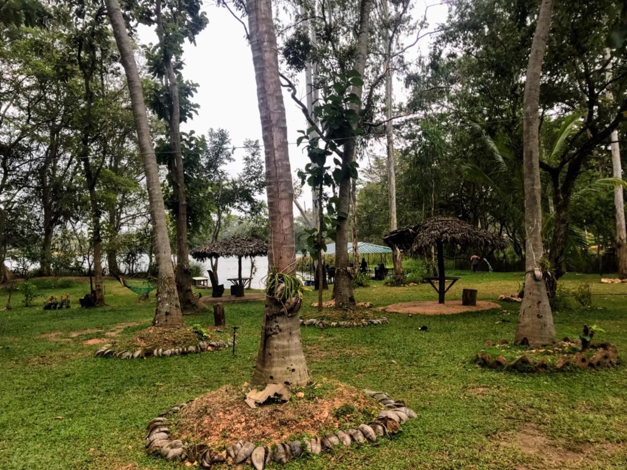 Nature'S Lake View Sigiriya Дамбула Екстериор снимка